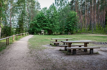 Responsive image